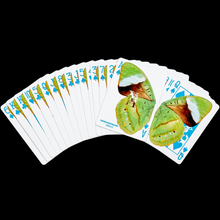 Load image into Gallery viewer, WHAT THE FLY (V3) PLAYING CARDS
