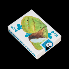 Load image into Gallery viewer, WHAT THE FLY (V3) PLAYING CARDS
