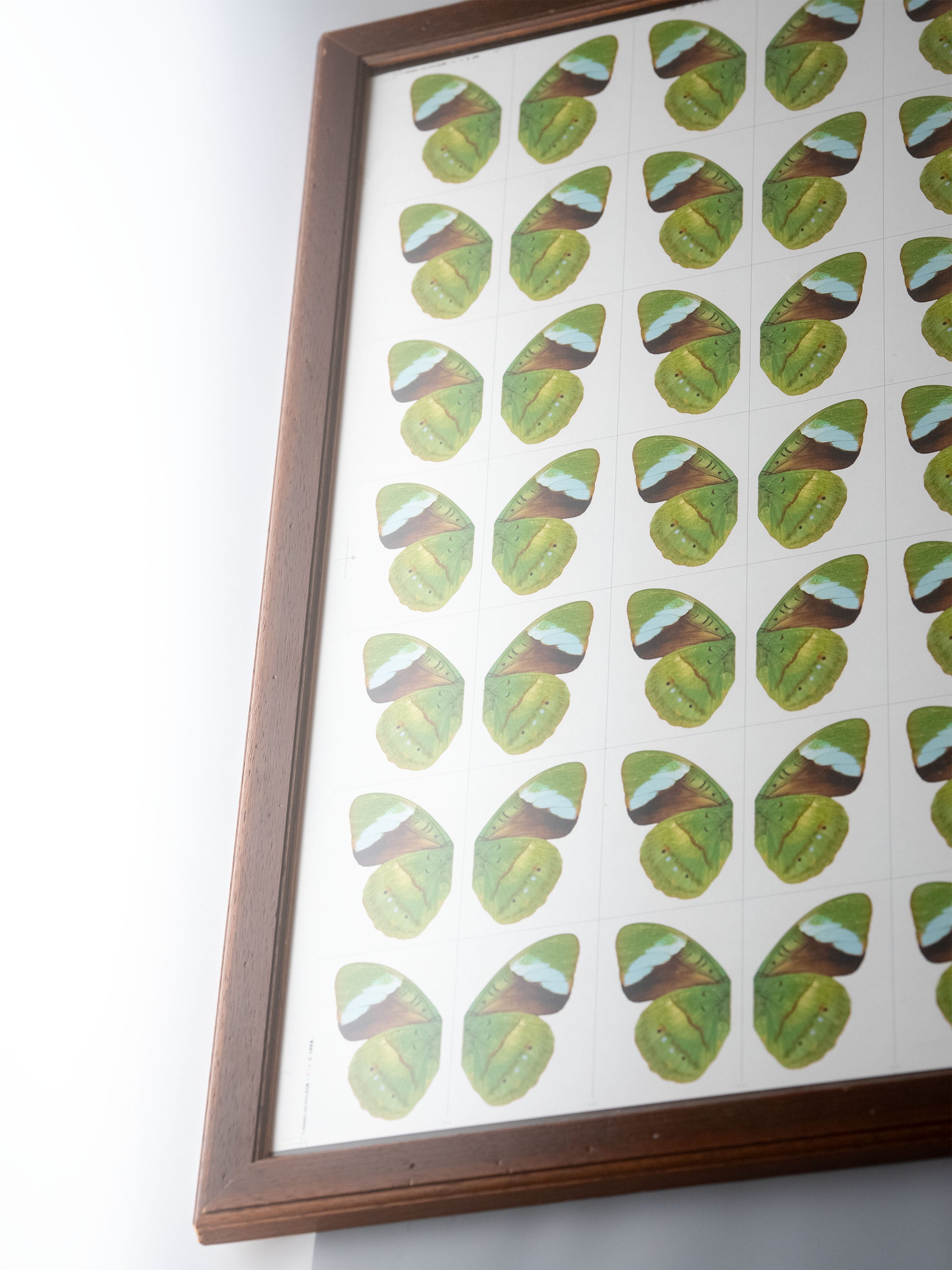 WHAT THE FLY V3 uncut sheet by YANGANYAUHEI, framed on a wall