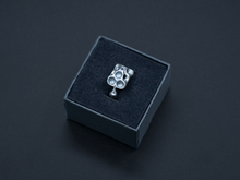 Load image into Gallery viewer, Member 1/1 925 Silver Ring
