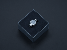 Load image into Gallery viewer, Member 1/1 925 Silver Ring
