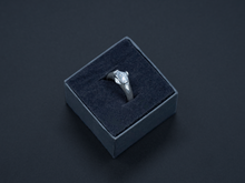 Load image into Gallery viewer, Member 1/1 925 Silver Ring

