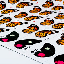 Load image into Gallery viewer, DANAUS PLEXIPPUS PLAYING CARDS (UNCUT)

