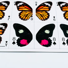 Load image into Gallery viewer, DANAUS PLEXIPPUS PLAYING CARDS (UNCUT)
